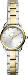 Fossil ES4498