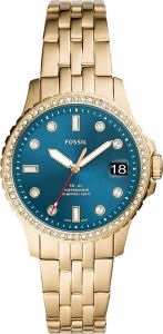 Fossil ES4983
