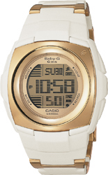 Casio MSG-172CG-9V
