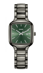 Rado 01.079.6079.3.031