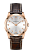Hamilton H38541513