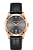 Hamilton H38541783