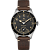 Hamilton H76719530