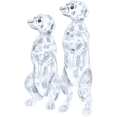 Swarovski Сурикаты 5135929