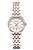Hamilton H42221155