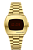 Hamilton H52424130