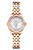 Hamilton H42245151