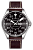 Hamilton H64715535