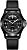 Hamilton H64465733