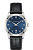 Hamilton H38511743