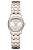 Hamilton H32271155