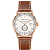 Hamilton H77745553