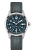 Hamilton H70305943
